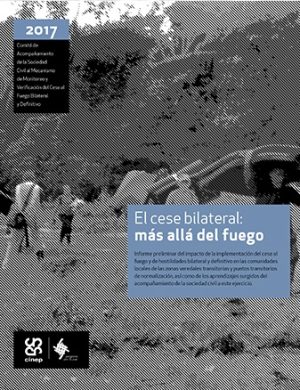 El cese bilateral: más allá del fuego (informe preliminar)