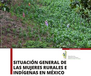 Situación general de las mujeres rurales e indígenas en México