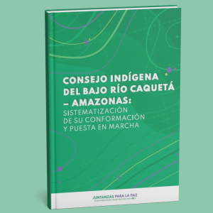 Consejo indígena del Bajo Rio Caquetá-Amazonas: Sistematización de su conformación y puesta en marcha