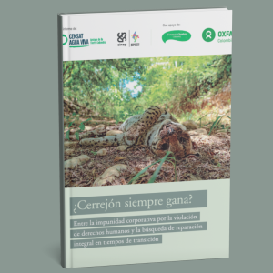 ¿Cerrejón siempre gana? Entre la impunidad corporativa por la violación de derechos humanos y la búsqueda de reparación integral en tiempos de transición