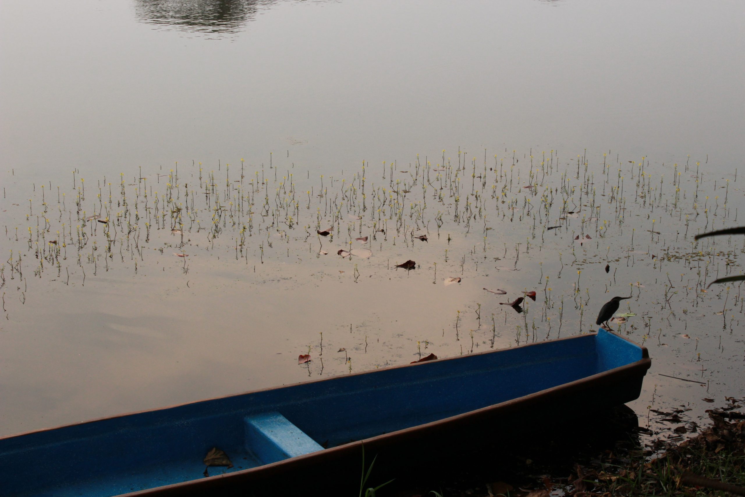 Nuestro trabajo por la justicia socioambiental 
